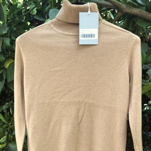 Everlane cashmere turtle neck sweater